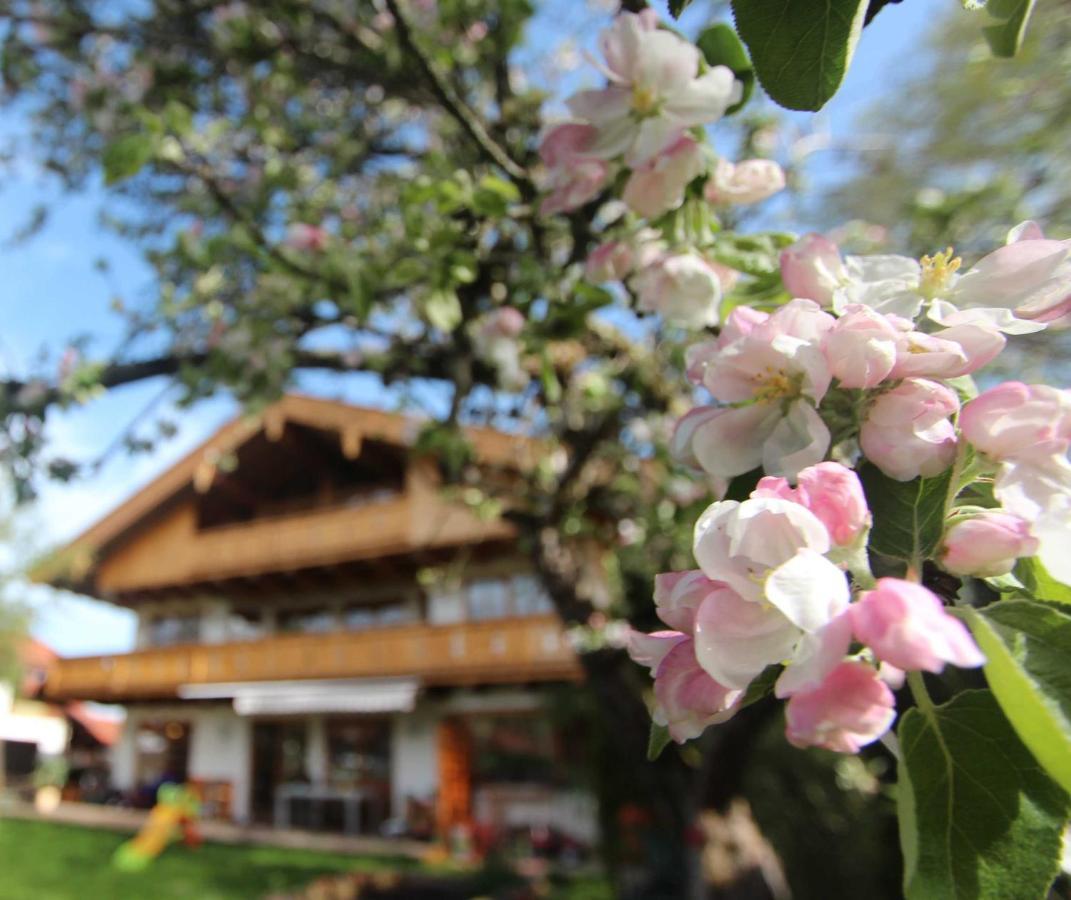 Appartementhaus Schirsner - Direkt Am See & Am Kurpark Schliersee Zewnętrze zdjęcie
